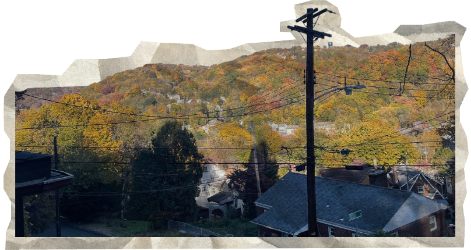 Grandview Gardens fall hillside